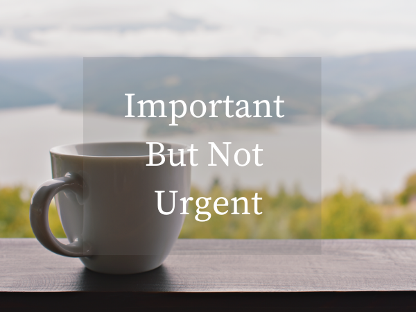 Important But Not Urgent